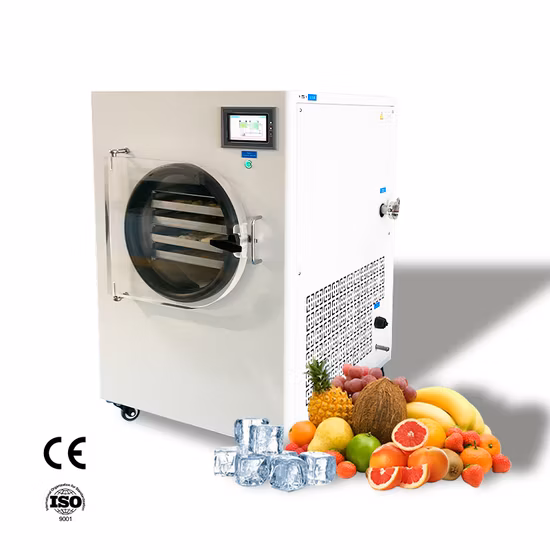 a Lyophilisateur Déshydrateur Four de lyophilisation sous vide